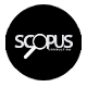 Adel Shirazy Scopus